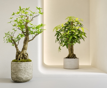 Modern Ground Green Plant Potted Plants-ID:326467047