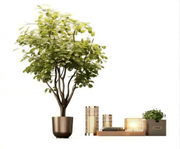 Modern Potted Green Plant-ID:352853061