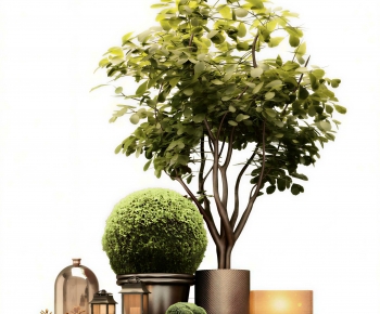 Modern Ground Green Plant Potted Plants-ID:203758966