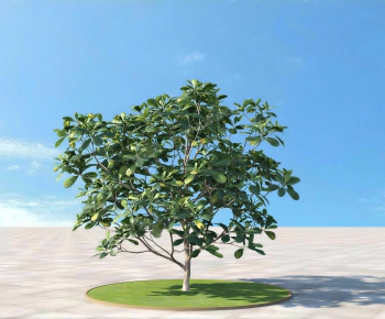 Modern Tree-ID:665726906