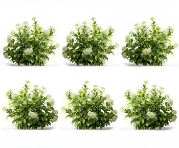 Modern Shrubbery-ID:918190969