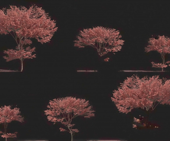 Modern Tree-ID:205444109