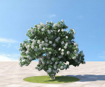 Modern Shrubbery-ID:499969015