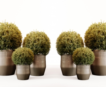 Modern Ground Green Plant Potted Plants-ID:533374077