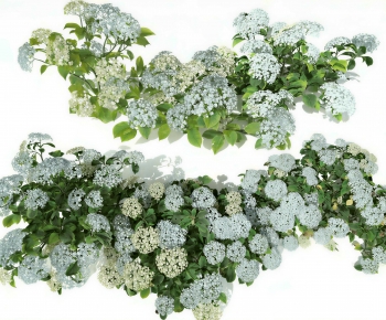 Modern Shrubbery-ID:103166106