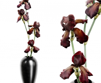 Modern Flower Arrangement-ID:876842983
