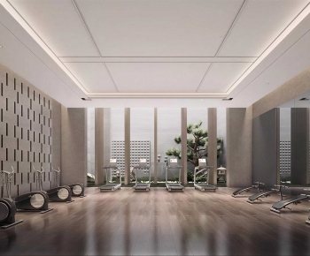 Modern Gym-ID:556224114