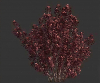 Modern Shrubbery-ID:692281019