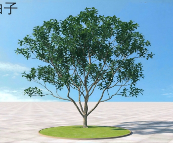 Modern Tree-ID:909960342