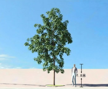 Modern Tree-ID:815293079