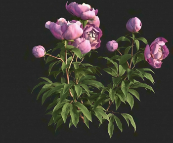 Modern Flowers And Grass-ID:157250881
