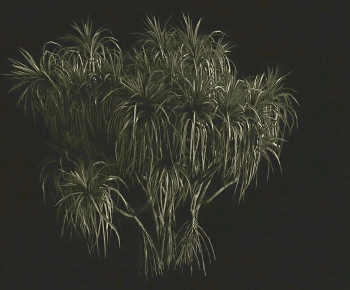 Modern The Grass-ID:512401101