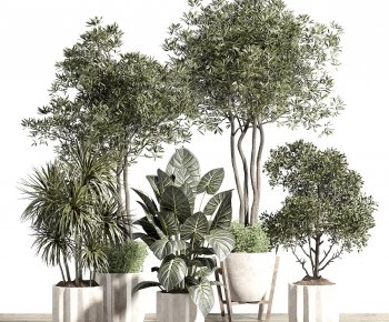 Modern Ground Green Plant Potted Plants-ID:589981122