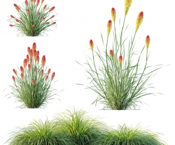 Modern Flowers And Grass-ID:970969929