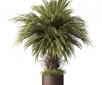 Modern Ground Green Plant Potted Plants-ID:272496947