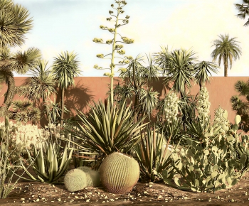 Modern Plant Landscaping-ID:105660058