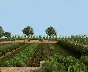 Modern Crop-ID:738470672