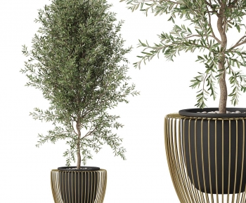 Modern Ground Green Plant Potted Plants-ID:684746034
