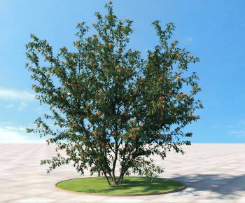Modern Tree-ID:269469022