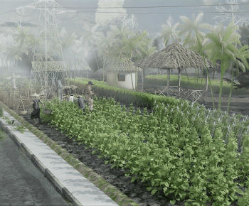 Modern Crop-ID:486259943