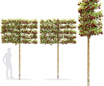 Modern Tree-ID:876878982