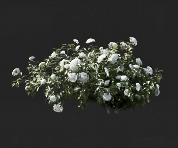 Modern Shrubbery-ID:561671977