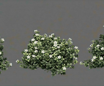 Modern Shrubbery-ID:114445926