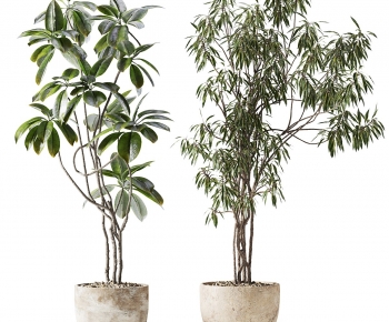 Modern Ground Green Plant Potted Plants-ID:905458914