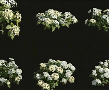 Modern Shrubbery-ID:212076906