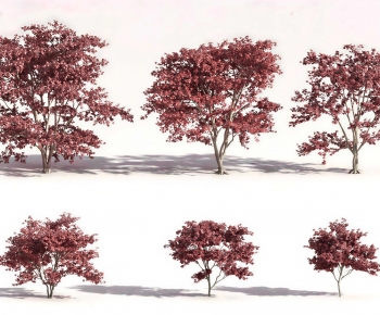 Modern Tree-ID:893568042