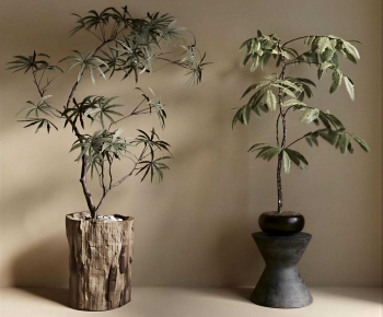 Wabi-sabi Style Ground Green Plant Potted Plants-ID:501087902