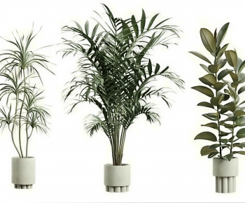 Modern Ground Green Plant Potted Plants-ID:977873094
