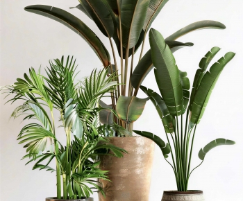 Modern Ground Green Plant Potted Plants-ID:419879059