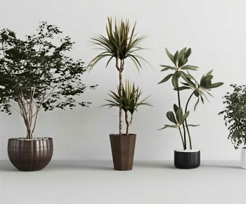 Modern Ground Green Plant Potted Plants-ID:512979076
