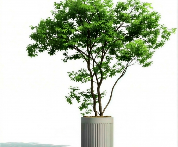 Modern Ground Green Plant Potted Plants-ID:761552107