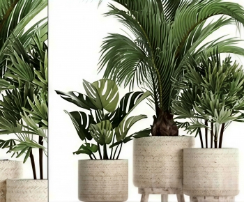 Modern Ground Green Plant Potted Plants-ID:224616059