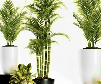 Modern Potted Green Plant-ID:456985001
