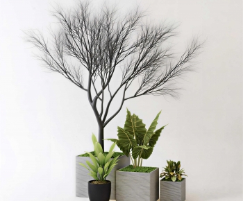Modern Ground Green Plant Potted Plants-ID:338450916