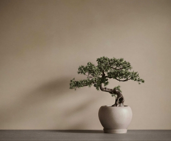 Wabi-sabi Style Bonsai-ID:918242931