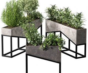 Modern Flower Bed, Flower Bowl, Flower Box-ID:966558931