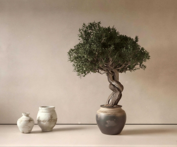 Wabi-sabi Style Bonsai-ID:179028997