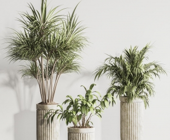 Modern Ground Green Plant Potted Plants-ID:242463114