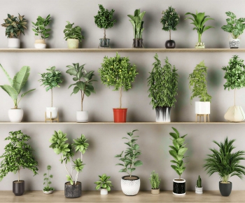 Modern Ground Green Plant Potted Plants-ID:117764952