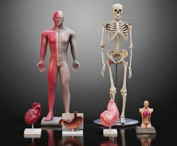 Modern Medical Equipment-ID:277493007