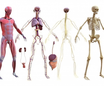 Modern Medical Equipment-ID:121670962