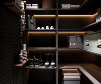 Modern Clothes Storage Area-ID:166367053