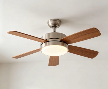 Modern Fan-ID:796566019
