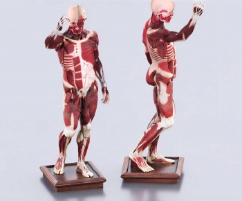 Modern Medical Equipment-ID:734989649