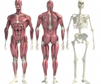 Modern Medical Equipment-ID:873286965