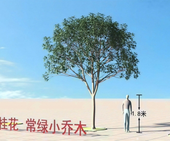 Modern Tree-ID:153846033